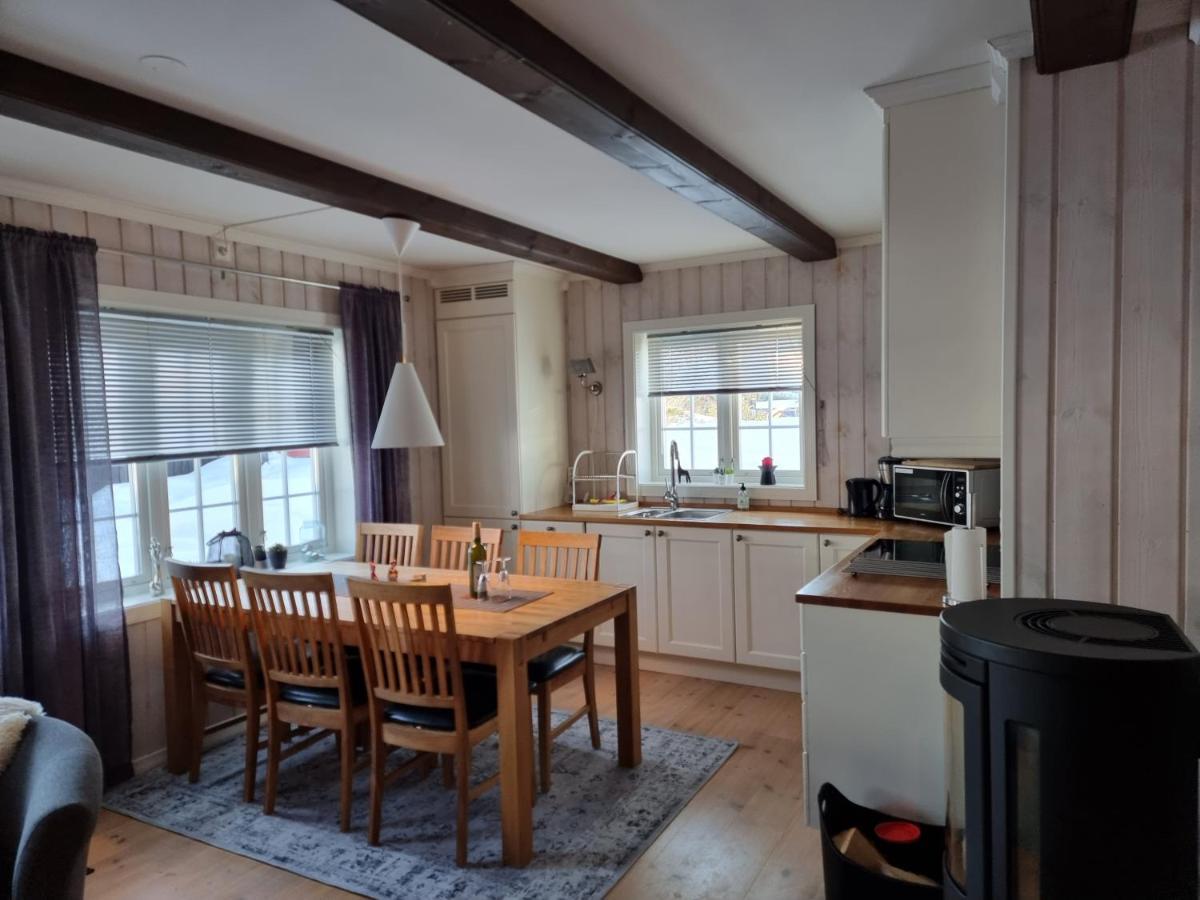 Gaustatoppen Apartment Rjukan Εξωτερικό φωτογραφία